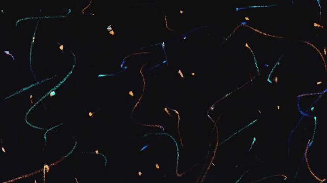 colorful scribble chalk crayon etch lines on black background, drawing overlay animation, particle lines