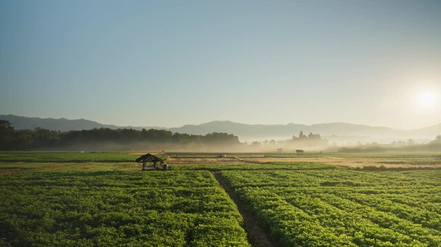Serene rural landscape at sunrise with lush green fields, distant misty mountains, and a traditional hut, evoking peace and natural beauty.