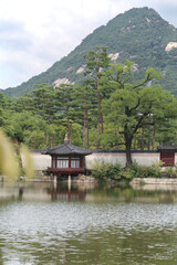 Fototapeta premium Lush garden with pond, at Hyeonbokgung Palace