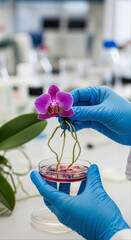 A scientist conducts a plant experiment with an orchid in a petri dish. Biotechnology and botany research in a modern laboratory.