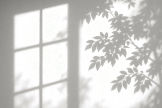 Soft shadow of tree leaves falling through the window on a bright wall.