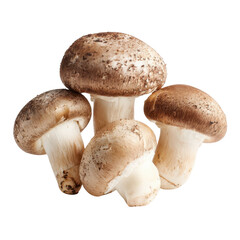Four brown cremini mushrooms with white stems on black background food, Cut Out, Isolated On White Background, Png Transparent