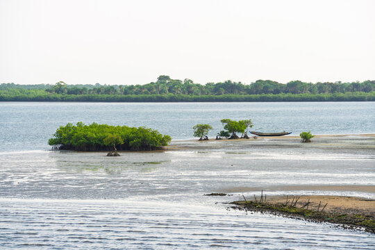 Karabane Island, Senegal. Mangrove plants and a small boat on a sand bank in the Casamance River estuary