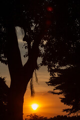 sunset over the forest 