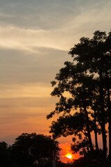 sunset over the forest 