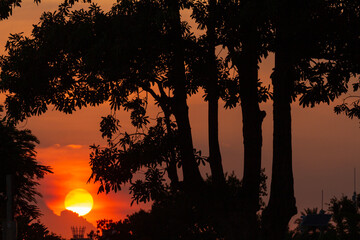sunset over the forest 