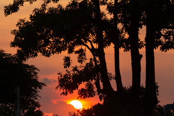 sunset over the forest 