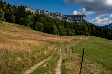 Un chemin au milieu des alpages (Savoie, France)