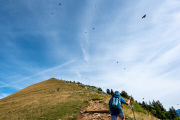 Un randonneur, de dos, entame l'ascension d'un sommet