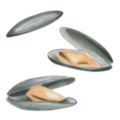 Oysters with open and closed shells, painted in watercolor. Fresh and delicious seafood. Perfect for culinary projects, menus, and restaurants. Food icons drawn in a naive style.