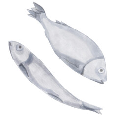 Whole fish, painted in watercolor. Fresh and delicious seafood. Perfect for culinary projects, menus, and restaurants. Food icons drawn in a naive style.