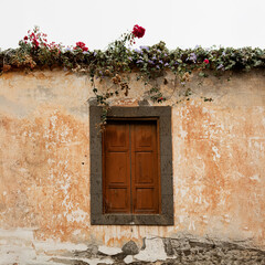 Fototapeta premium Rustic Wooden Door Surrounded by Flowers