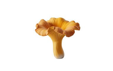 Naklejka premium A golden mushroom isolated on transparent background