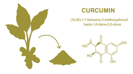 Curcumin chemical compound found in turmeric plant used for medicinal and culinary purposes with molecular structure