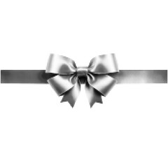 Halftone ribbon bow with horizontal band in black and white. Retro dotted illustration of gift decoration, celebration or holiday design element isolated on white.