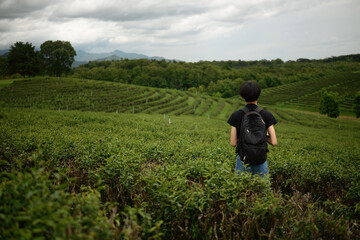 Fototapeta premium Rear view of a Backpacker Standing in Vast Green Tea Plantation, Solo Travel Concept