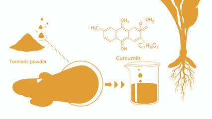 Turmeric powder with curcumin molecular structure and plant roots on white background
