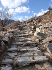 People on the journey