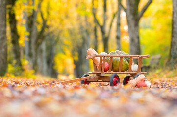 K&uuml;rbis im Leiterwagen