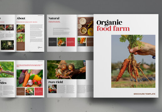 Colorful Organic Family Food Farm Promo Brochure Layout