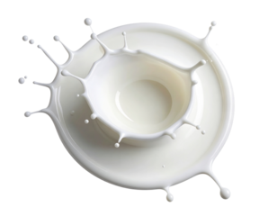 Minimal White Liquid Splash with Clean Flat-Lay Composition