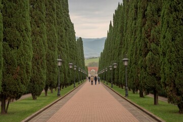 A long pathway lined with tall cypress trees leading to a distant view