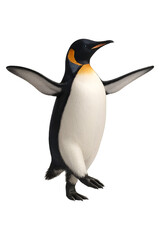 Fototapeta premium A majestic emperor penguin stands in a dynamic pose with flippers outstretched isolated on transparent background
