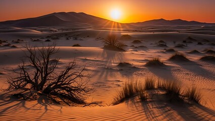Golden hour splendor over vast desert dunes with silhouetted flora and distant mountains