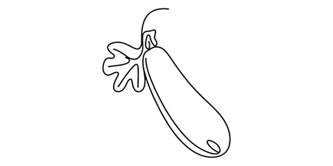 Continuous line drawing of zucchini Vector, illustration