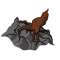 Tree Root Growing Over Rock Formation Vector