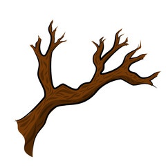 Dead Wood Tree Branch Gnarled Vector