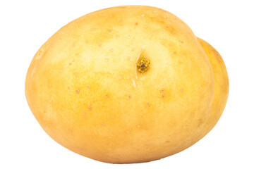 potatoes isolated on white background piece