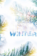 Ice letters on a pine branch. Winter forest. The word winter. Landscape. Vertical.