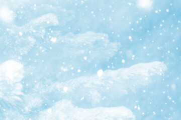 Abstract. A forest with pine branches covered in snow.  A soft, blurry Christmas winter background.