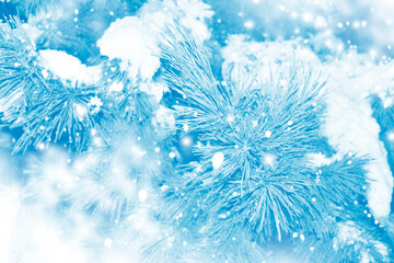 Abstract. soft, blurry Christmas winter background. A forest with pine branches covered in snow.