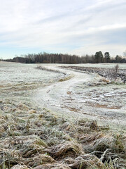 Morning frost in the Latvian countryside (Latgale meadows).