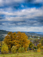 Sunny Autumn Carpathians with Puffy White Clouds