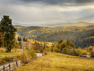 Sunny Autumn Carpathians with Puffy White Clouds