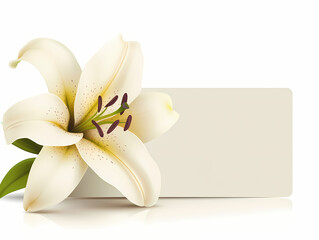 cards for celebrations