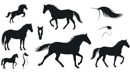 Dynamic horse silhouettes for branding materials