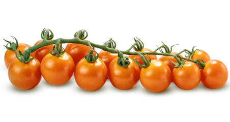 Fresh Orange Japanese sweet tomatoes on the vine, isolated on white with clipping path, perfect for food, nutrition, and healthy lifestyle concepts.