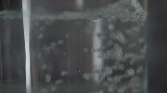 Tall Glass With Rising Bubbles And Delicate Effervescence, Soft Muted Light, Rhythmic Ascent Of Microbubbles, Crystal Clarity, Minimal Ambient Background, Close Macro On Sparkling Surface And Tiny