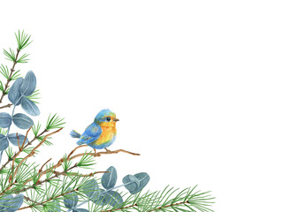 Christmas corner ornament with winter greenery, blue bird, spruce, pine tree twig and eucalyptus. New Year design for greeting or invitation.