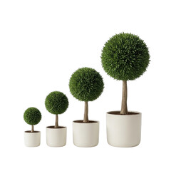 A conceptual image showing four topiary plants in different sizes illustrating stages of growth
