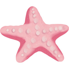Cute Pink Starfish Illustration Character Design