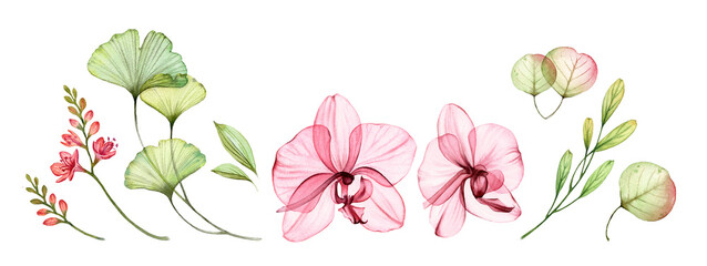 Watercolor collection of elements. Abstract transparent orchids, green ginkgo branches and leaves in dusty pink, green and red. Isolated hand drawn botanical illustrations set