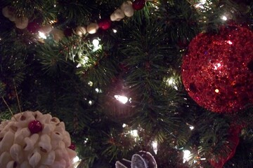 christmas tree with lights