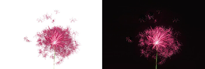 Świąteczne fajerwerki na przezroczystym tle. Sylwester. Nowy rok.	