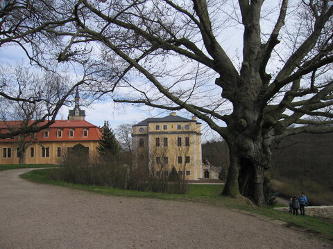 Schlosspark Ettersburg in Ettersberg