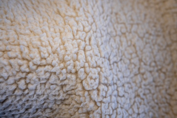 Macro texture of cozy beige sherpa fleece or sheepskin. The soft, warm, and fluffy surface makes a perfect background for comfort and winter concepts.